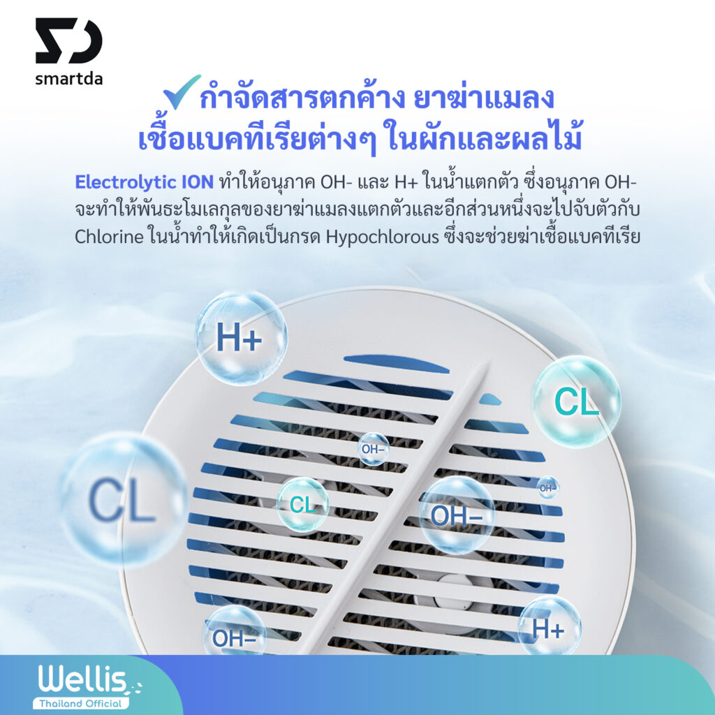 Xiaoda Portable Fruit & Vegetable Washing Machine wellisofficialthailand