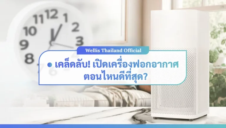 เคล็ดลับเปิดเครื่องฟอกอากาศตอนไหนดีที่สุด
