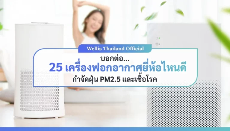 เครื่องฟอกอากาศ