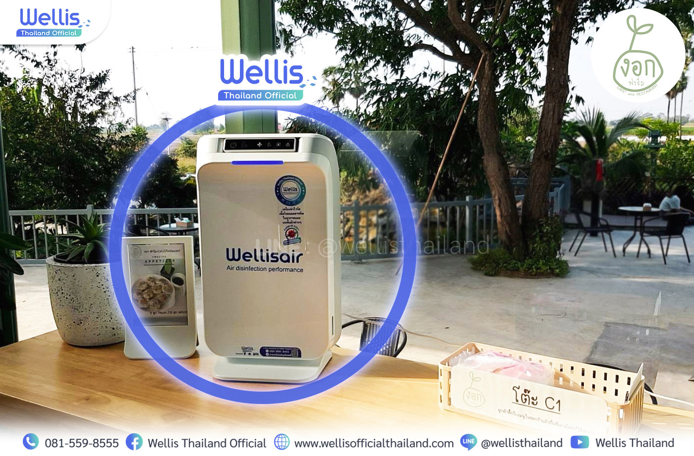 wellis air review 06