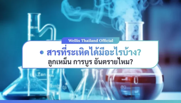 สารที่ระเหิดได้มีอะไรบ้าง ลูกเหม็น การบูร อันตรายไหม